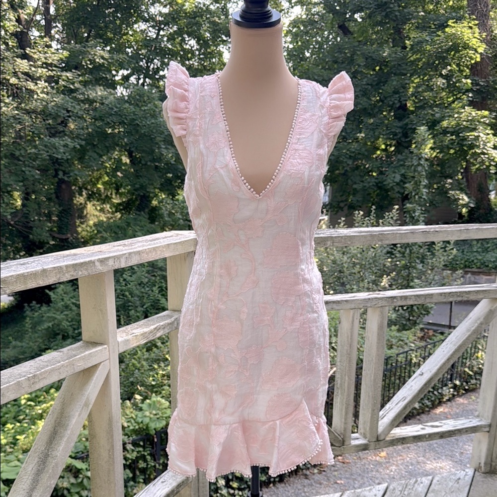 Hello Molly Keep Your Dreams Blush Jacobean Embellished Mini Dress US Size 6 NWT